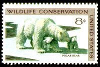 Polar Bear (Ursus maritimus)