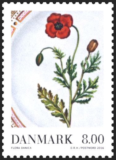 Porcelain plate - Flora Danica