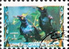 Stamp, Bird, Umm al-Qiwain,  , Animals (Fauna), Birds