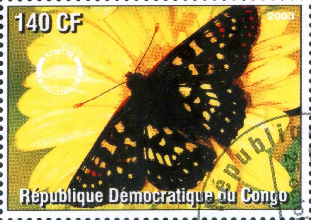 Les Papillons