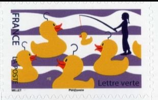 Ducks
