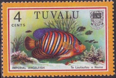 Imperial Angelfish