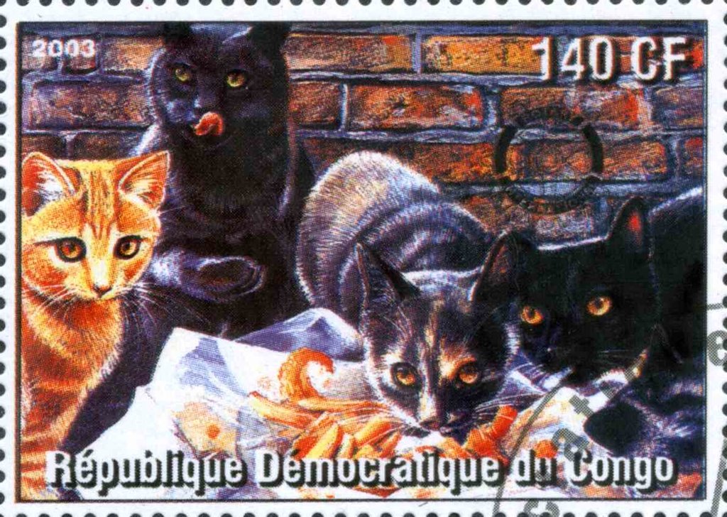 Cats