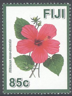 Fijian Hibiscuses