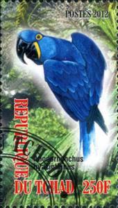 Stamp, Anodorhinchus hyancintinus, Cinderellas,  , Animals (Fauna), Birds, Parrots
