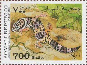 Stamp, Common leopard gecko (Eublefarus Macularius), Cinderellas,  , Animals (Fauna), Reptiles