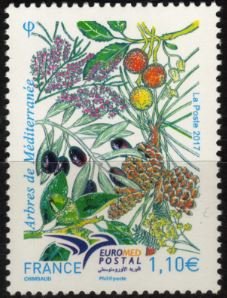 Arbres de la Méditérrannée