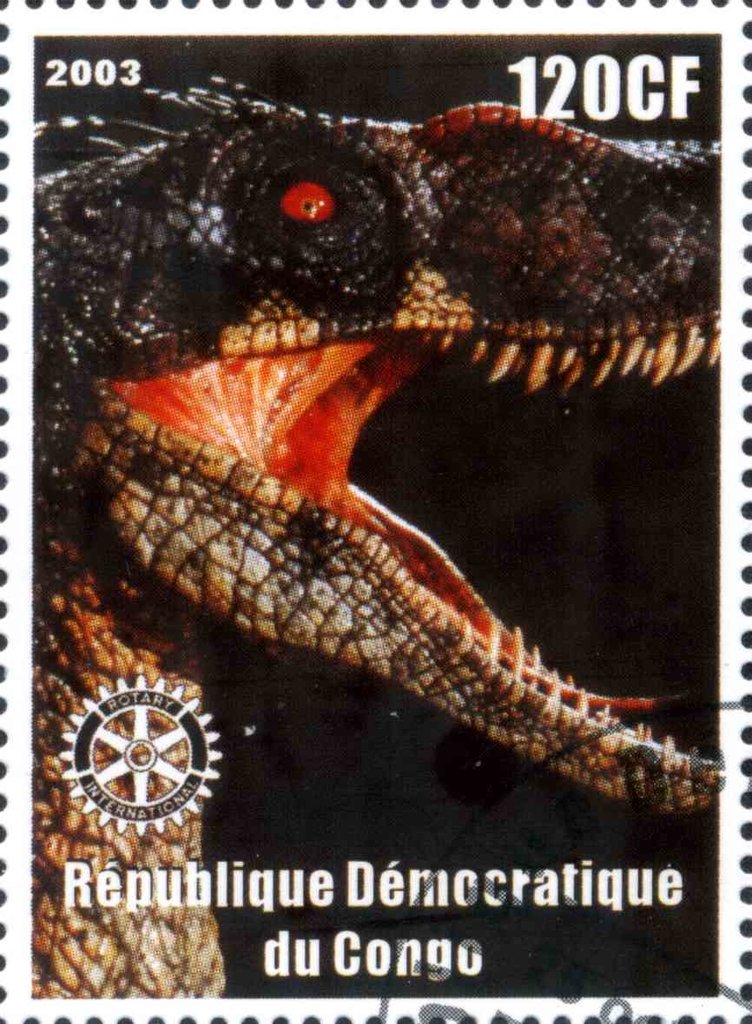 Dinosaurs