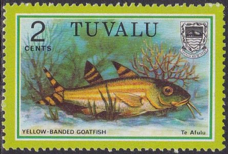 Yellow-Banded Goatfish