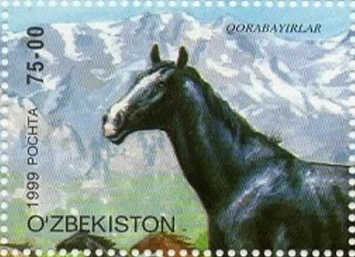 Korabajiry Horse