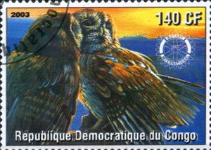 Stamp, Owl, Cinderellas,  , Animals (Fauna), Birds, Owls