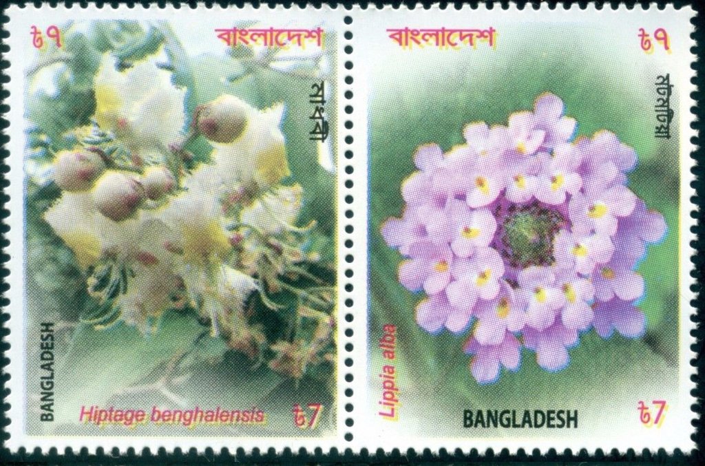Wild Flowers of Bangladesh