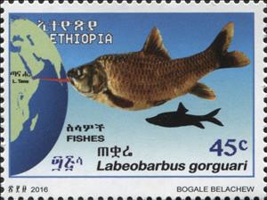 Stamp, Fish, Ethiopia,  , Animals (Fauna), Fishes, Maps