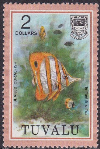 Beaked Coralfish