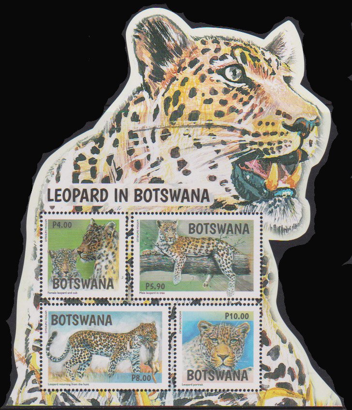 Leopards of Botswana