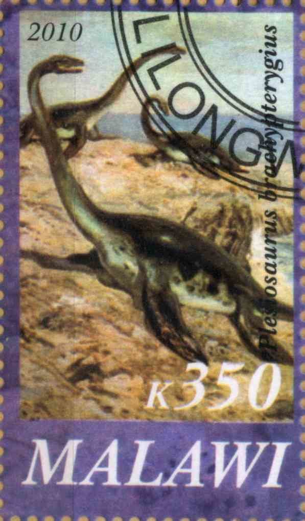 Plesiosaurus brachypterygius