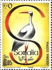 White Stork (Ciconia ciconia)