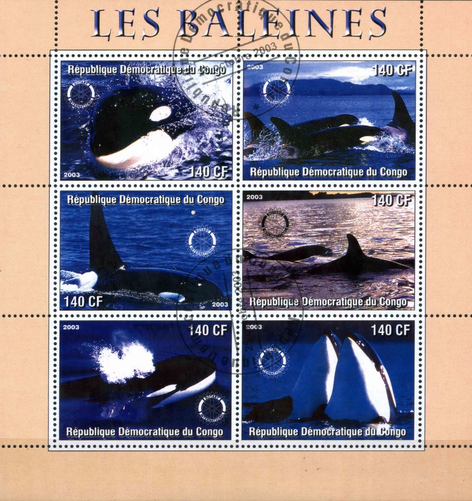 Les Baleines