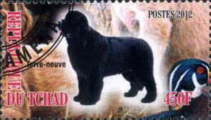 Stamp, Terre-neuve, Cinderellas,  , Animals (Fauna), Dogs