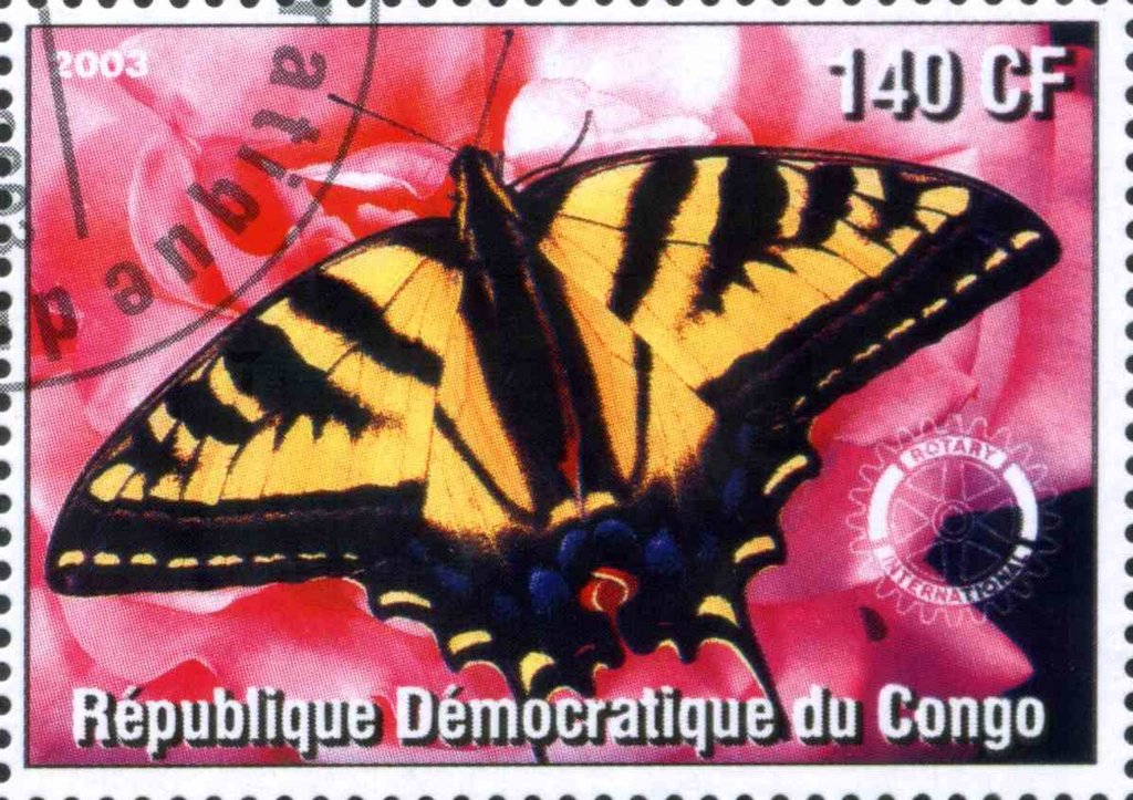 Les Papillons