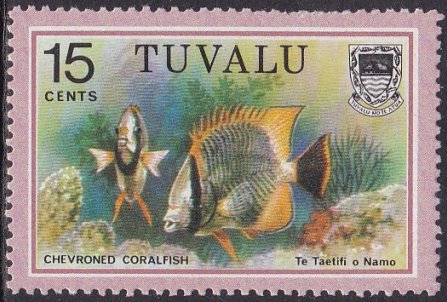 Chevroned Coralfish