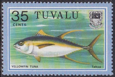 Yellowfin Tuna