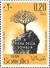 5Ş Somalia Shop