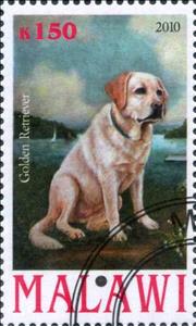 Stamp, Golden Retriever, Cinderellas,  , Animals (Fauna), Dogs