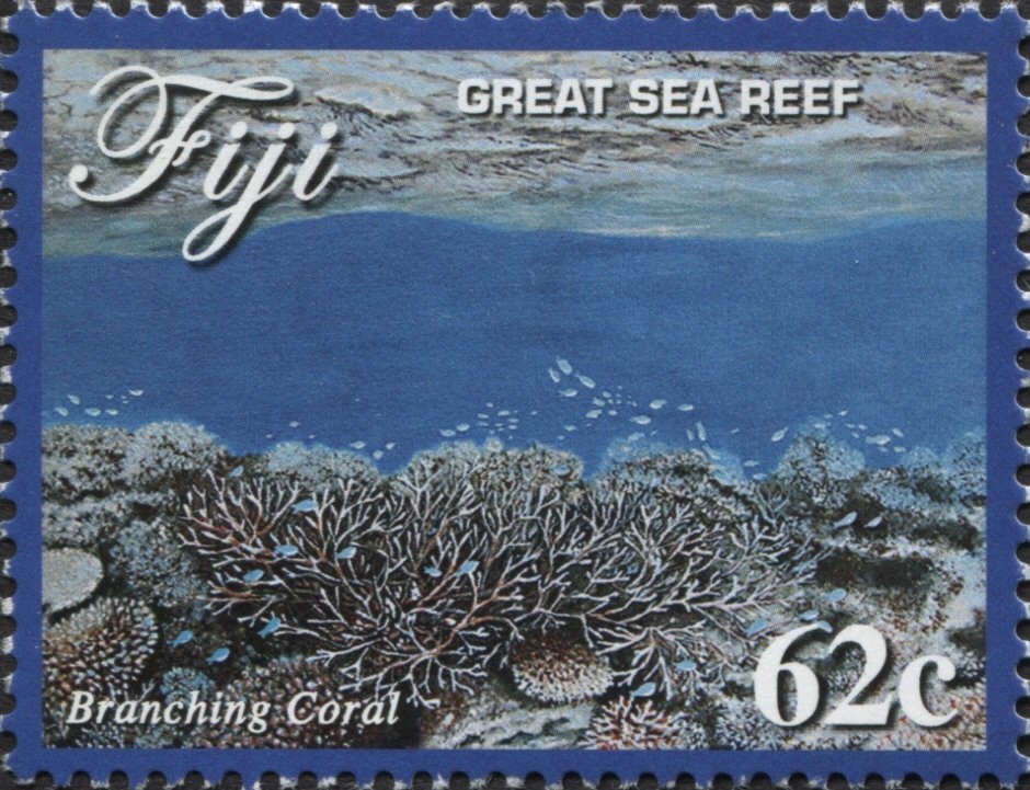 Great Sea Reef of Fiji