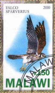Stamp, Falco Sparverius, Cinderellas,  , Animals (Fauna), Birds, Falcons