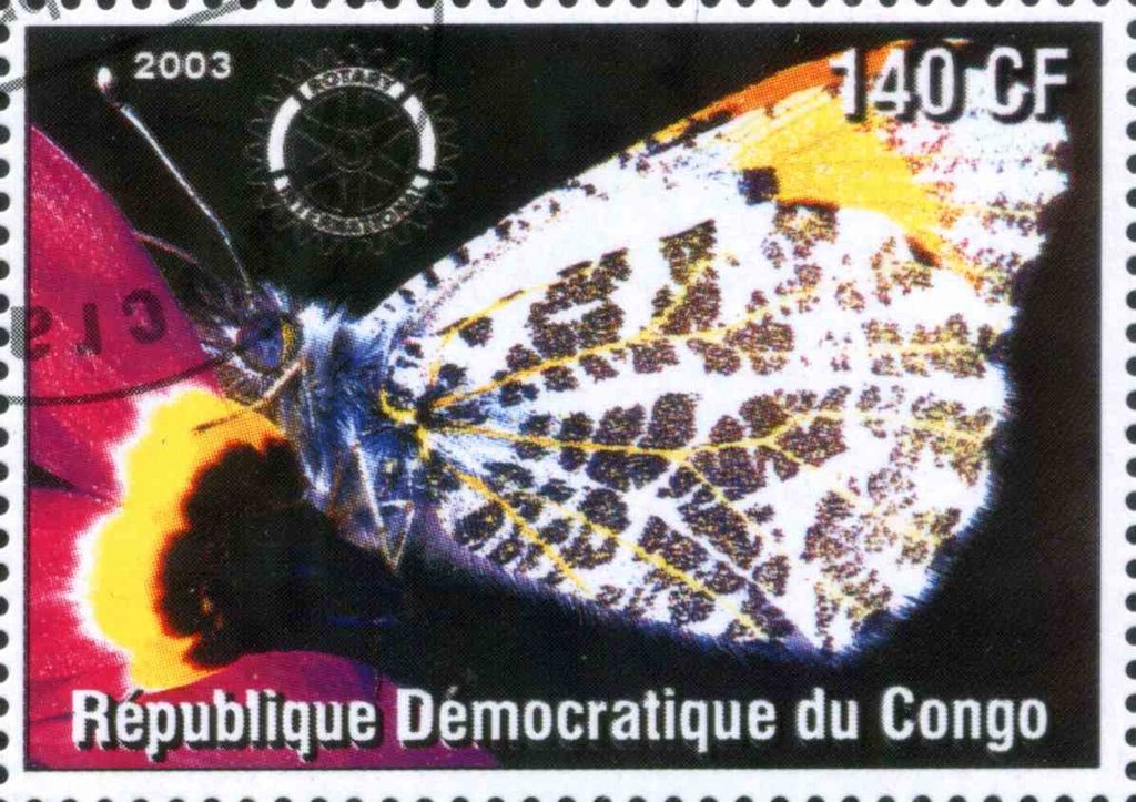 Les Papillons