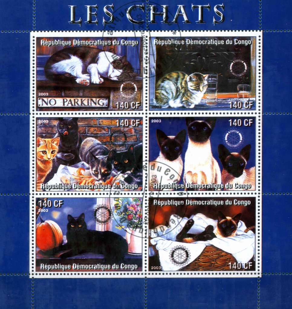 Cats