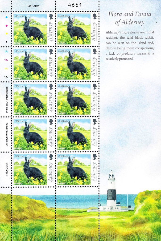 Black Rabbit (Oryctolagus cuniculus forma domestica)