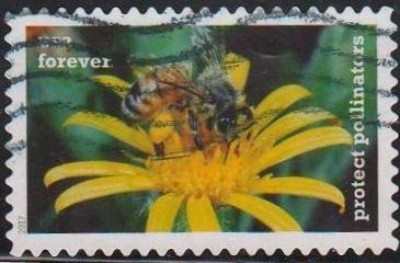 Protect Pollinators:Bee on Flower