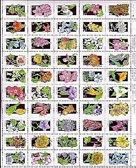 Wildflowers Block of 50