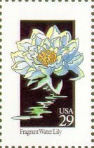 Wildflowers:Water Lilly