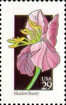 Stamp, Wildflowers:Meadow Beauty, United States of America,  , Flowers