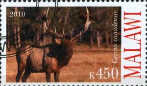 Stamp, Cervus cannadensis, Cinderellas,  , Animals (Fauna)