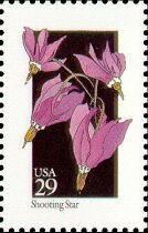 Wildflowers:Shooting Star