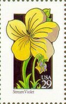 Wildflowers:Stream Violet