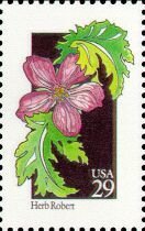 Wildflowers:Herb Robert