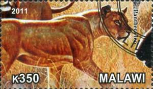 Stamp, Panthera leo, Cinderellas,  , Animals (Fauna)