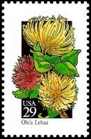 Wildflowers:Ohia-Lehua