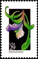 Stamp, Wildflowers:Rosebud Orchid, United States of America,  , Orchids