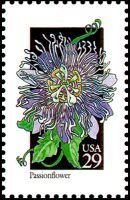 Wildflowers:Passion Flower