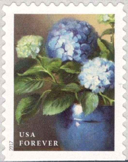 Blue Hydrangea - booklet