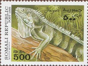 Stamp, Green iguana (Iguana Iguana), Cinderellas,  , Animals (Fauna), Reptiles