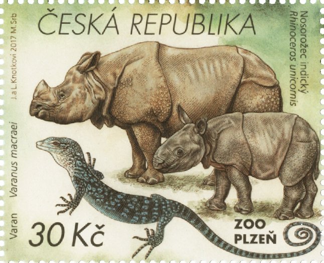 Indian rhinoceros, blue lizard