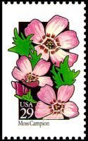 Wildflowers:Moss Campion
