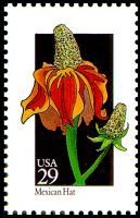 Wildflowers:Mexican Hat